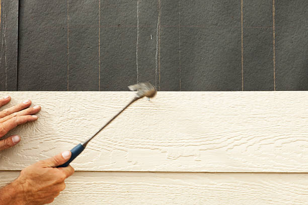 Best Custom Trim and Detailing for Siding  in Peachtree City, GA